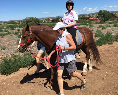 Meet our horses and see how they, and you, can make a difference in people's lives.